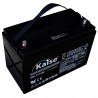 Batería Ciclo Profundo 100AH 12V
