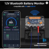 Monitor de Batería bluetooth